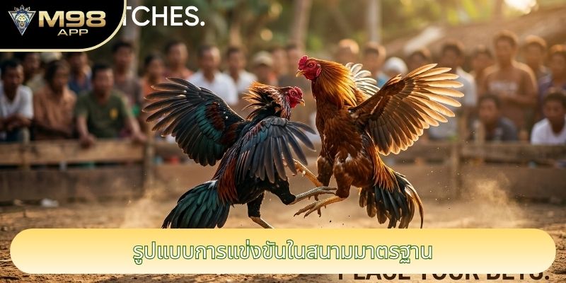 รูปแบบการแข่งขันในสนามมาตรฐาน